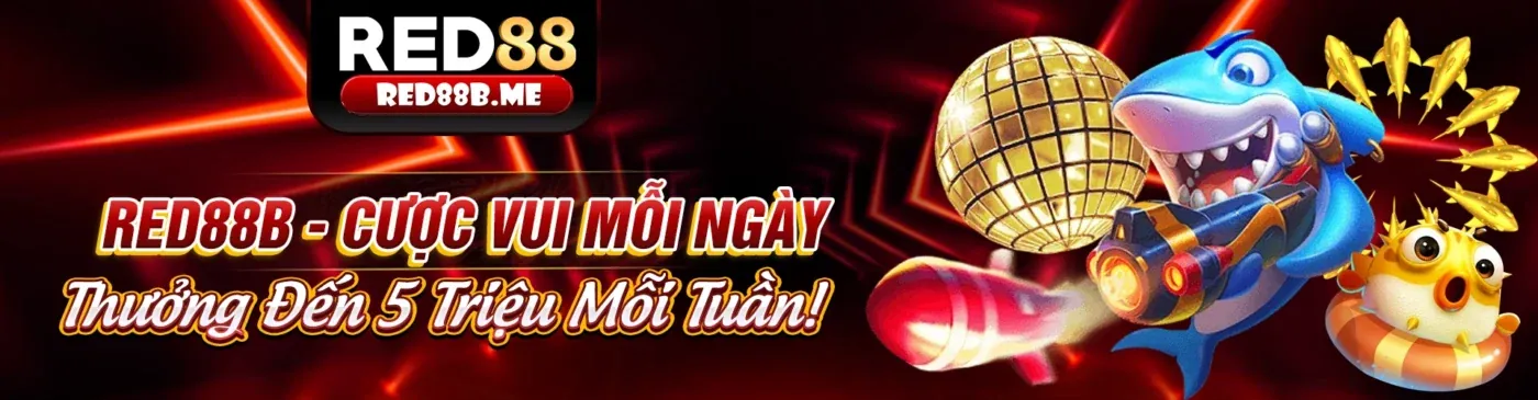 Banner khuyến mãi thể thao độc quyền
